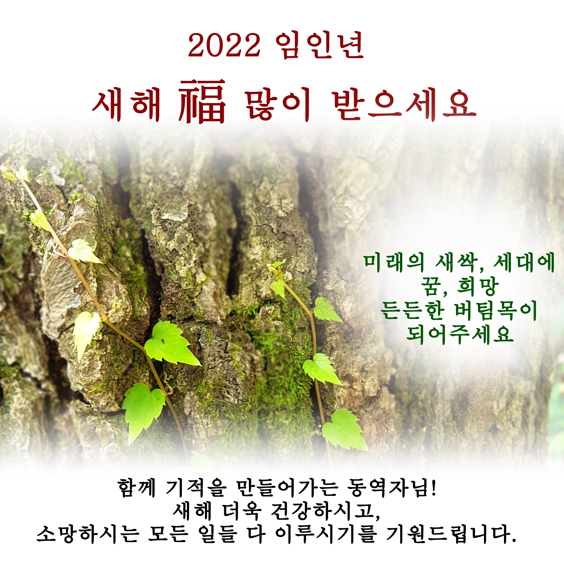 4632465bd92982c7ad171971b056c1ff_1641368062_48.jpg 4632465bd92982c7ad171971b056c1ff_1641368062_48.jpg